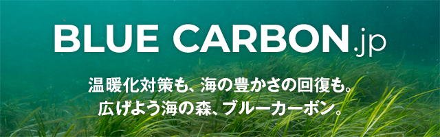 ブルーカーボン.jp 温暖化対策も、海の豊かさの回復も。広げよう海の森、ブルーカーボン。