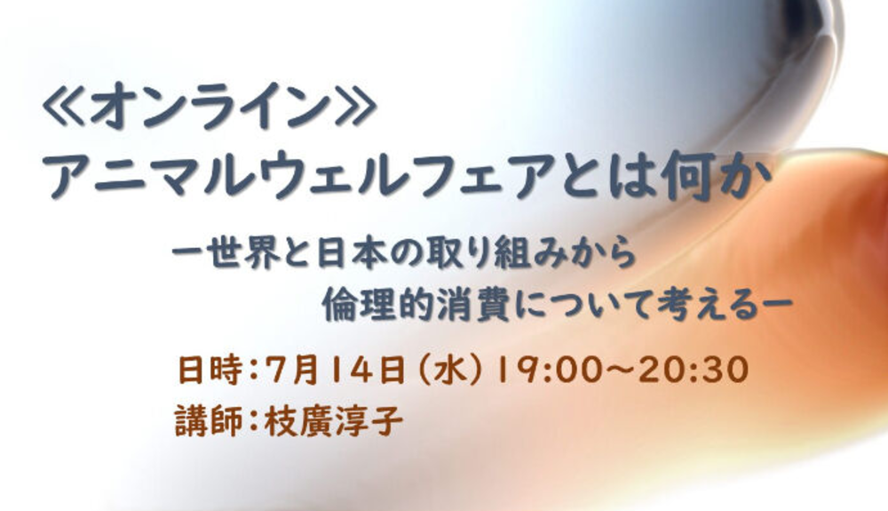 【終了しました】7/14開催:≪オンライン≫アニマルウェルフェアとは何か ー世界と日本の取り組みから倫理的消費について考えるー