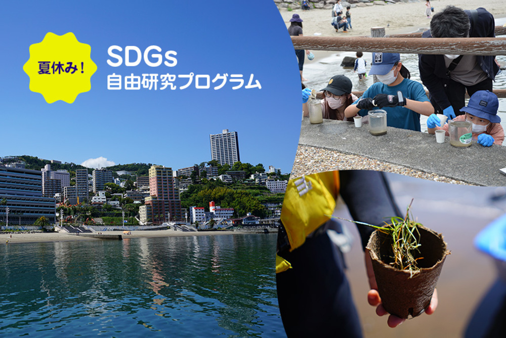 （終了しました）夏休み！SDGs自由研究プログラム募集中です！