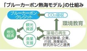 ブルーカーボン ②  『「熱海モデル」地域一体で』（明日への環境Lesson／静岡新聞）