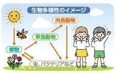 生物多様性 ①  『500万種以上が共生関係』（明日への環境Lesson／静岡新聞）