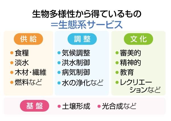 生物多様性 ②  『生態系サービスを享受』（明日への環境Lesson／静岡新聞）