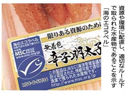 生物多様性 ③  『「選ぶ力」を磨いて、伝える』（明日への環境Lesson／静岡新聞）