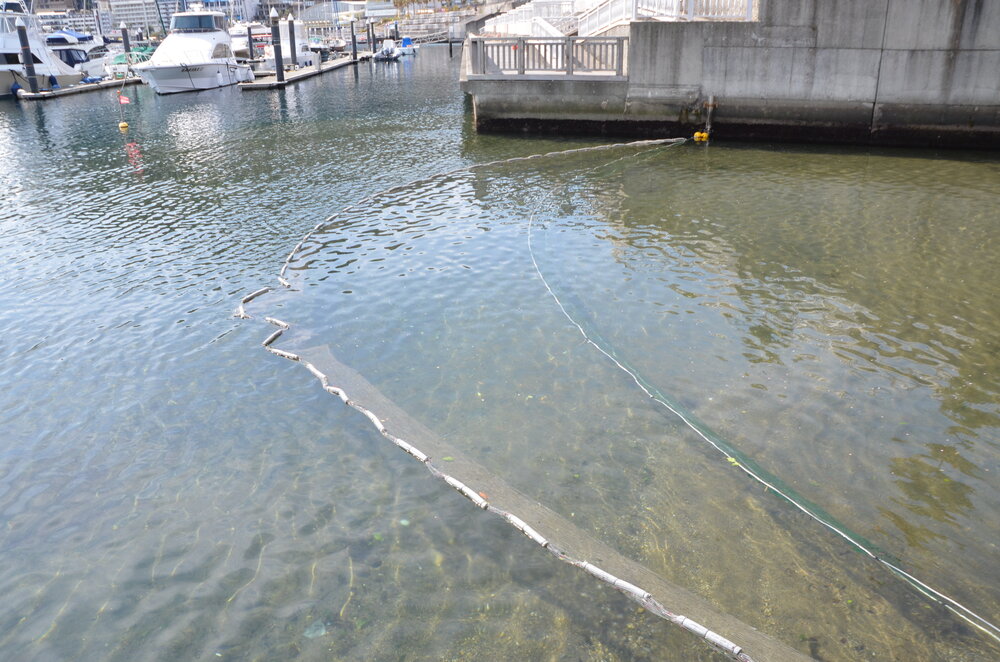 プラスチックごみ問題 ⑤  『ネット張り海への流出防止』（明日への環境Lesson／静岡新聞）