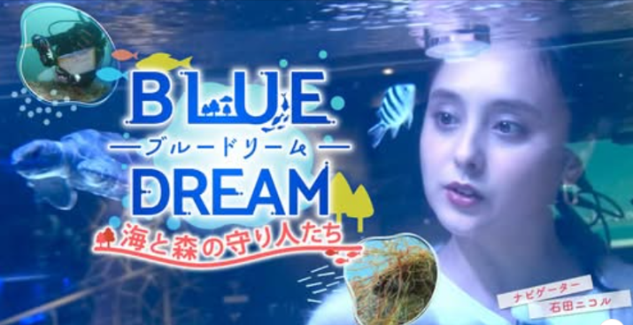 テレビ東京「ブルードリーム」で、熱海の海を守る取り組みが紹介されました！